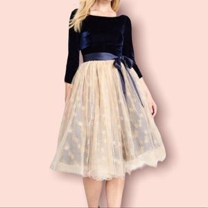 NWT MODCLOTH x Collectif “A Night to Remember” Formal Swing Dress